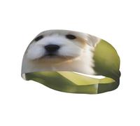 Versatile Sports Sweatband YYHWHJDE Cute Maltese Puppy Prints - Stretchable and Moisture-Wicking Headband for Yoga,Fitness