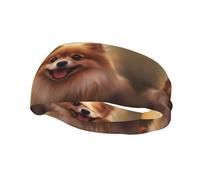 Versatile Sports Sweatband YYHWHJDE cute pomeranian Pattern - Stretchable and Moisture-Wicking Headband for Yoga,Fitness