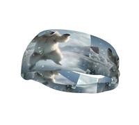 Versatile Sports Sweatband YYHWHJDE Dancing polar bear Prints - Stretchable and Moisture-Wicking Headband for Yoga,Fitness