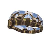 Versatile Sports Sweatband YYHWHJDE Funny Donkeys Prints - Stretchable and Moisture-Wicking Headband for Yoga,Fitness