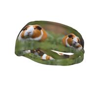 Versatile Sports Sweatband YYHWHJDE Guinea Pigs Prints - Stretchable and Moisture-Wicking Headband for Yoga,Fitness