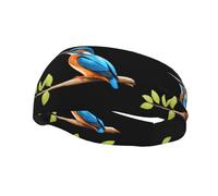 Versatile Sports Sweatband YYHWHJDE Kingfisher on the branch Prints - Stretchable and Moisture-Wicking Headband for Yoga,Fitness