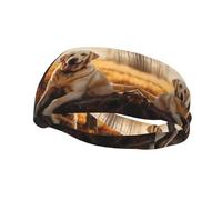 Versatile Sports Sweatband YYHWHJDE Labrador Retriever Dog Pattern - Stretchable and Moisture-Wicking Headband for Yoga,Fitness
