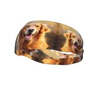 Versatile Sports Sweatband YYHWHJDE Lovely Golden Retriever Dog Prints - Stretchable and Moisture-Wicking Headband for Yoga,Fitness
