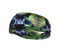 Versatile Sports Sweatband YYHWHJDE Panther With Blue Eyes Prints - Stretchable and Moisture-Wicking Headband for Yoga,Fitness