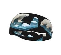 Versatile Sports Sweatband YYHWHJDE Polar Bear on Ice Prints - Stretchable and Moisture-Wicking Headband for Yoga,Fitness