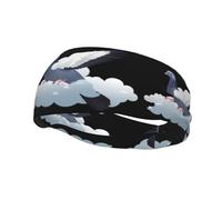 Versatile Sports Sweatband YYHWHJDE The pigeon in the white clouds Pattern - Stretchable and Moisture-Wicking Headband for Yoga,Fitness