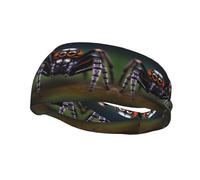 Versatile Sports Sweatband YYHWHJDE Tropical rainforest spiders Prints - Stretchable and Moisture-Wicking Headband for Yoga,Fitness