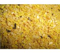 10kg - Versele-Laga Classic Egg Food Dry - Caged Bird Food - 17% Protein VL1649