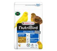 VL Gold Patee Canaries