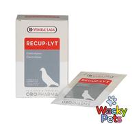 Versele Laga Oropharma Recup-Lyt 240g ELECTROLYTES RACING PIGEON SUPPLEMENT