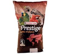 VL African Parrot Prestige Loro Parque