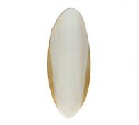 Versele-Laga Small Cuttlefish Bone - Pet Bird Feeds - Size: 12cm