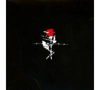 Versus Goliath - Liebe & Chaos