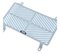 Stainless Radiator Guards for Kawasaki Versys-X 250 2017-2019 R&G