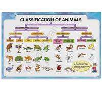 Vertebrates vs Invertebrates Poster Animal Kingdom Sorting Reference