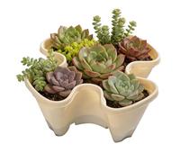Vertical Garden Planter - Stackable Pots 38 x 17 cm Non-Slip Drainage System | Container for Indoor Outdoor Yard Farm Patio Balcony Lawn Home Space Saving Awake