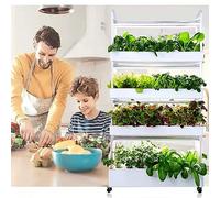 Vertical Hydroponic System with LED Grow Light - Easy Assembly for Faster Growth of Herbs, Fruits, and Vegetables - Ideal for Beginners
