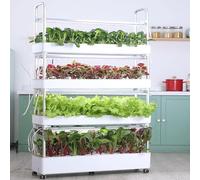 Vertical Hydroponics Growing System with LED Grow Light and Timer, Indoor Herb Garden Kit for Home Gardening