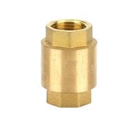Vertical Water Check Valve,Female Threaded Anti-Backflow Check Valve, Brass Valve for Well,Pump,Tank and Prevention