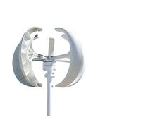 Vertical Wind Turbine 8000W Vertical Axis Wind Turbine 12V 24V 48V Windmill Motor Quick Start Home Farm Hybrid Street Light(Bianco,48V)
