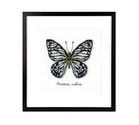 Vervaco Blue Butterfly, Polyester Cotton, Multi-Colour, 40 x 2 x 20 cm