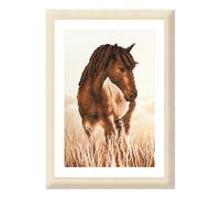 VERVACO Counted Cross Stitch Embroidery Kits DIY Embroidery Pictures Horse Wall Decoration Handmade Set for Adults Creative Craft Approx. 20 x 30 cm Cross Stitch Pictures Set Home Decoration