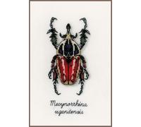Vervaco Counted Cross Stitch Insects Butterfly Kits