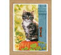 Vervaco Counted Cross Stitch Kit Cat & Pumpkin aida, Cotton Blend, Assorted, 25.5 x 2.8 x 17.8 cm