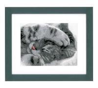 Vervaco counted cross stitch kit "Cute kitten", 16x13cm, DIY