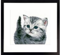 Vervaco Cross Stitch Kit, Cotton, Grey Tiger Kitten On Aida (14 Count), 21 x 20cm