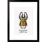 Vervaco Golden Beetle, Polyester Cotton, Multi-Colour, 40 x 2 x 20 cm