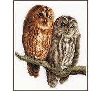 Vervaco Hiboux au Point compté kit