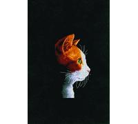 Vervaco "Kitten Counted Cross Stitch Kit