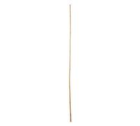 Verve Bamboo Cane 180Cm, Pack Of 10