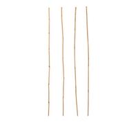 Verve Bamboo Cane, Pack Of 15 90Cm
