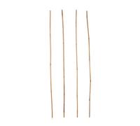 Verve Bamboo Cane, Pack Of 20 120Cm