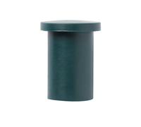 Verve Green Plastic Plant Support End Cap, Pack Of 6