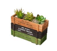 Verve Jelly Windowsill Planters Box 3 Pcs Wooden Succulents Plant Pot Retro Rectangle Flower Plant Container for Bay Window Kitchen Shelf