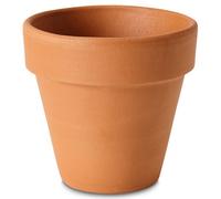 Verve Laleh Terracotta Grow Pot (Dia) 11.2Cm, (H)10Cm, 1L