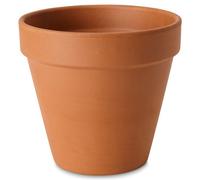 Verve Laleh Terracotta Grow Pot (Dia) 23Cm, (H)20.3Cm, 5L