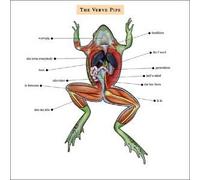 Verve Pipe by Unknown (1999-07-27j