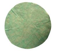 Verve Plant Container Liner (L)49Cm