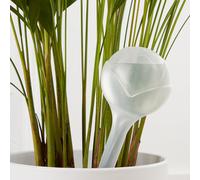 Verve Plant Self Watering Ball, Large 360Ml