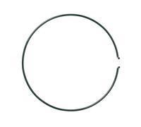 Verve Steel Ring Plant Support (L)3Cm (Dia)23Cm