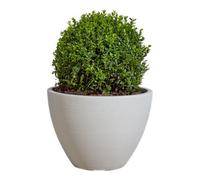 Verve Taupe Stone Effect Ridged Planter Plastic Plant Pot (Dia) 40Cm, (H)30Cm