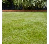 Verve Universal Grass Seeds, 10Kg 400M²