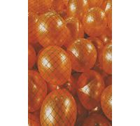 Very Sexy 6x9 inch, Glossy, [140] pages notebook.: Mark all your habits, do and donts.