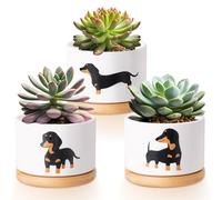 Vesici 3 Pcs Dachshund Succulent Pots with Drainage and Bamboo Tray Small Ceramic Succulent Planters for Mini Plants Cactus Animal Plant Pot for Office Home Decor Women Plant Lovers