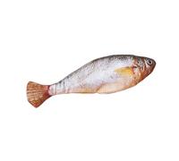 Vesidoloy Fish Toy for Cats - 150mAh Flopping Fish for Cats | Interactive Electric Hunting Play with Washable Cover Realistic for Enrichment Exercise Boredom Indoor Outdoor Home